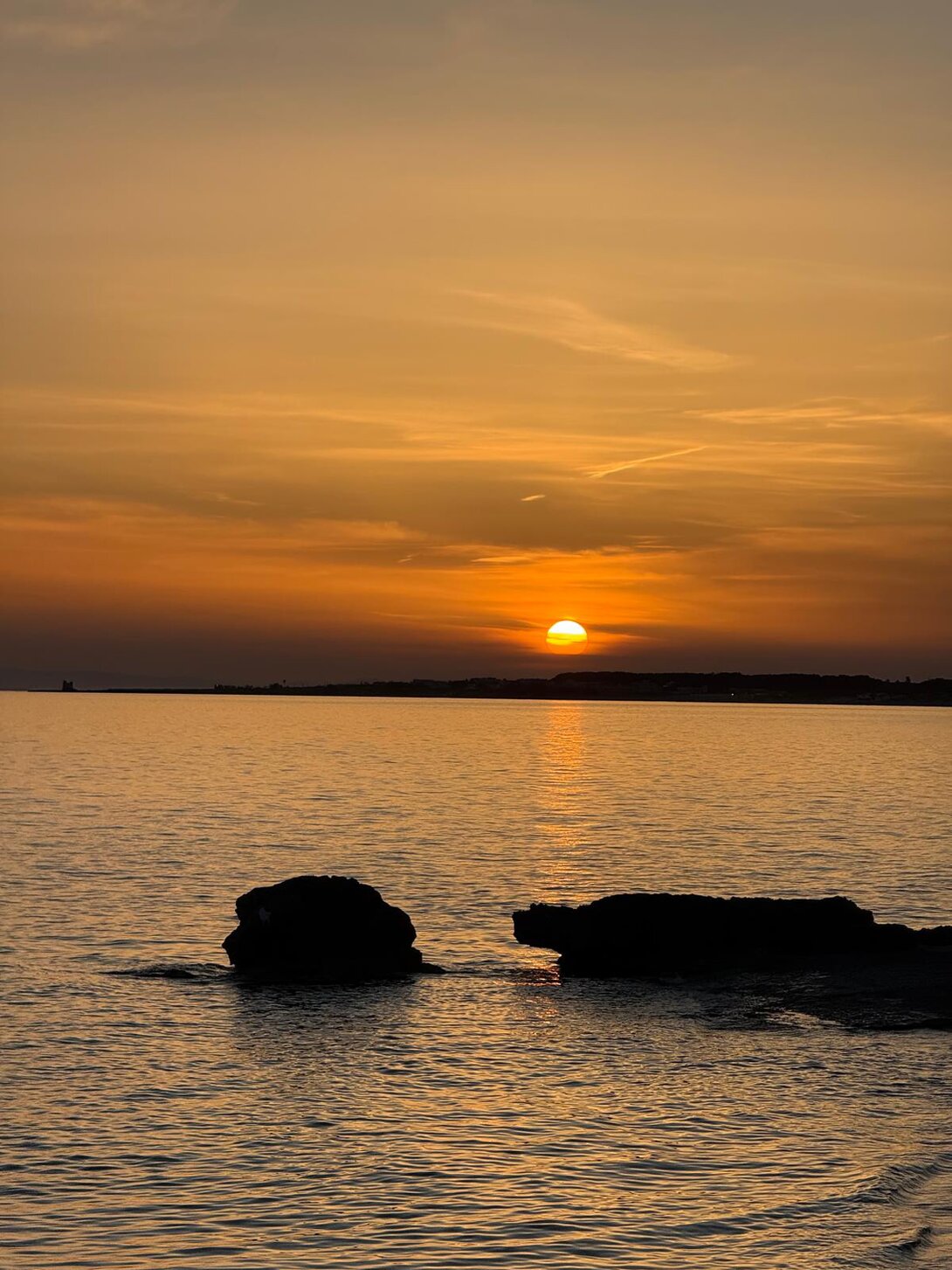 Sentiero tra ulivi e muretti a secco in Puglia